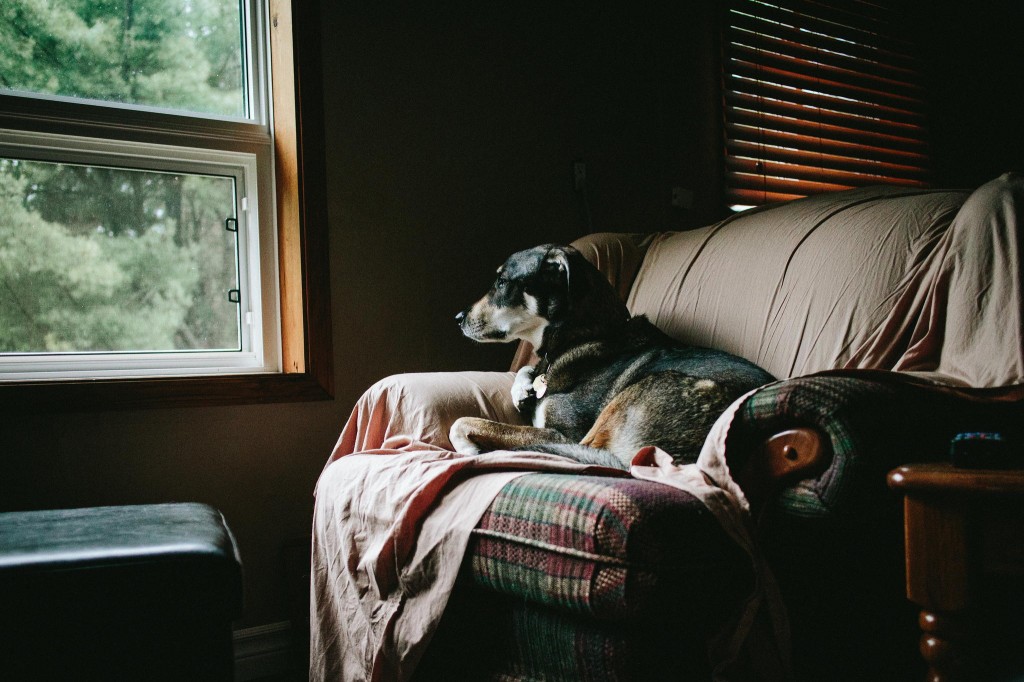 photo-ryan-mcgilchrist-n-135